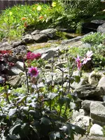 044.webp