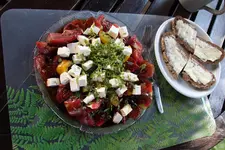Tomaten 0824.JPG 29.7.2024.webp