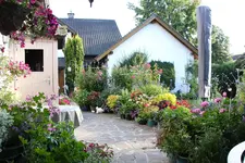 Terasse             3024.webp