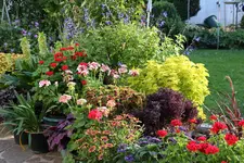 Terasse             3224.webp