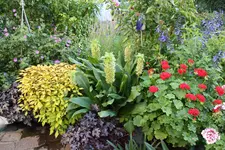 Terasse             4124.webp