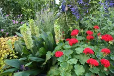 Terasse             4224.webp
