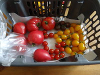 DSC04952.JPG