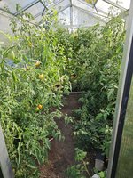 20240805_165051.jpg