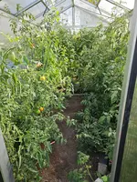 20240805_165051.jpg