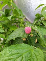 IMG_20240807_184911.jpg