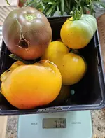 20240808_163538.jpg