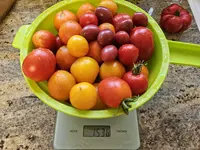 20240808_162854.jpg