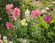 20240808_173354.webp