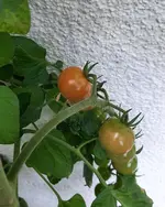 20240808_183440.webp