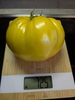 PXL_20240809_152627759.jpg