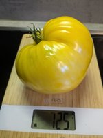 PXL_20240809_152650260.jpg