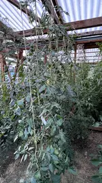 IMG_1641.jpeg