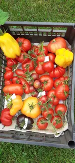 20240809_120732.webp