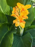 20240810_101036.webp