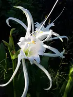 20240730_180020.webp