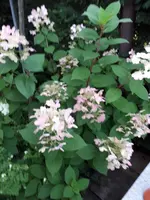 20240728_203939.webp