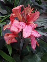 20240809_180548.webp