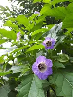 20240727_155953.webp