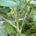 IMG_1710.jpeg
