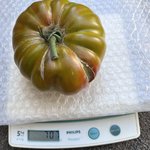 IMG_1707.jpeg