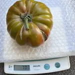 IMG_1707.jpeg