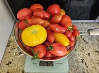 20240811_165100.webp