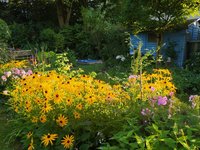 IMG_20240811_194236.jpg