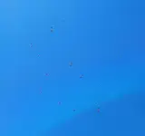 20240811_150827.jpg
