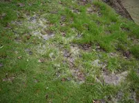 P1030038.webp