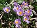 DSC01484.webp