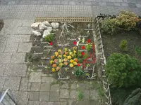 vorgartenbepflanzung2.webp