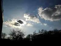 ALIM0645.webp