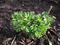DSCF0159.webp