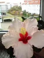 DSC01085.webp
