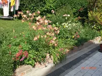 CIMG0870.webp