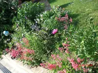 CIMG0871.webp