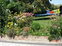 CIMG1543.webp