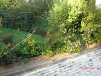 CIMG1807.webp