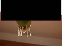 Bilderrätsel.webp
