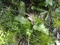 04042010088.webp