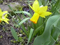 04.04.2010 004.webp