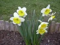 04.04.2010 009.webp