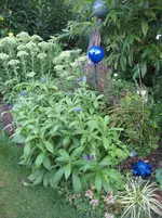 garten 09 019.webp