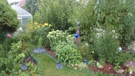 garten 09 021.webp