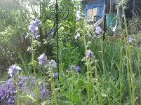 garten09 008.webp