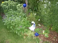 garten 09 006.webp