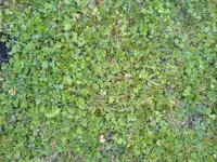 DSC02666.webp