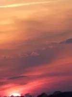P1030106.webp