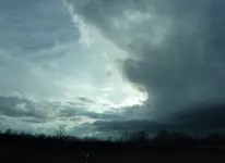 P1030226.webp